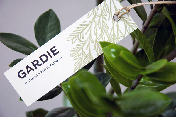 Logo and tag with hand drawn coloured pencil plant illustrations by Paradox Box for landscaping business Gardie