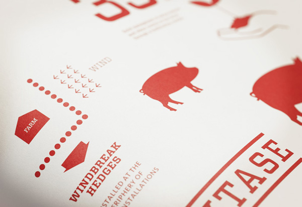 illustrations for Canadian pork producer and family run butcher F. Ménard designed by lg2boutique