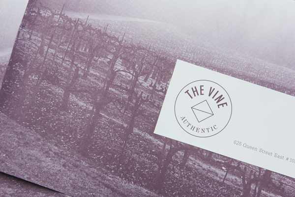 Logo and brochure for Italian and Californian wine specialist The Vine designed by Blok