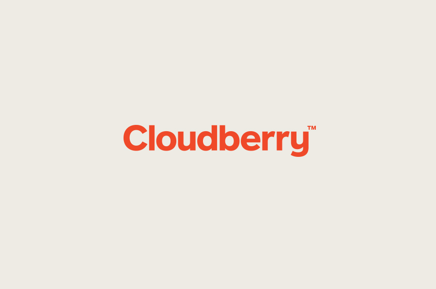 Logotype designed by Perky Bros for Cloudberry
