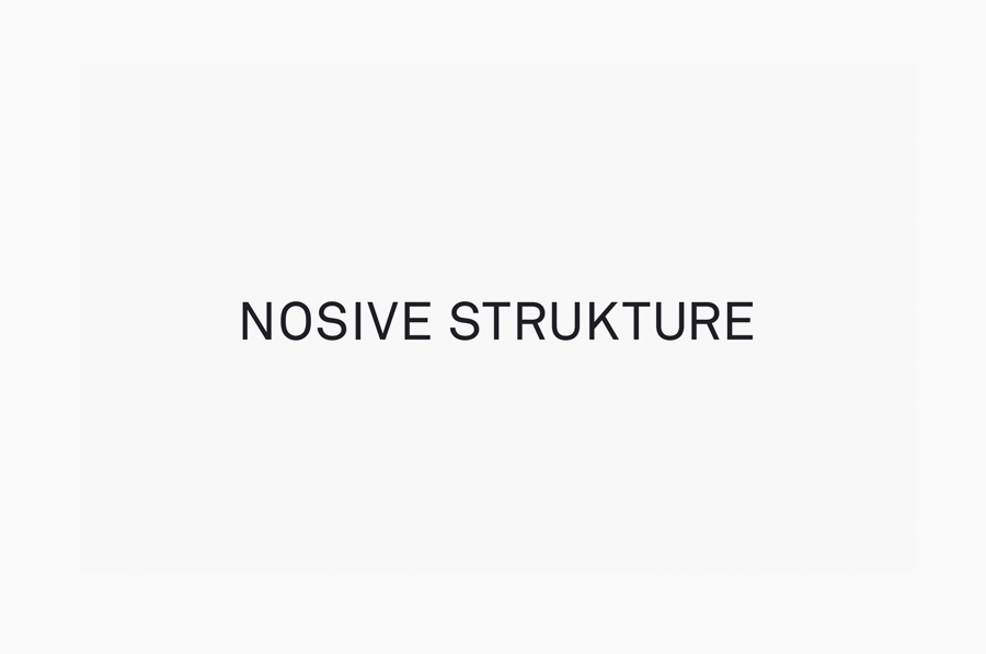 Logo for structural engineering firm Nosive Strukture designed by Bunch