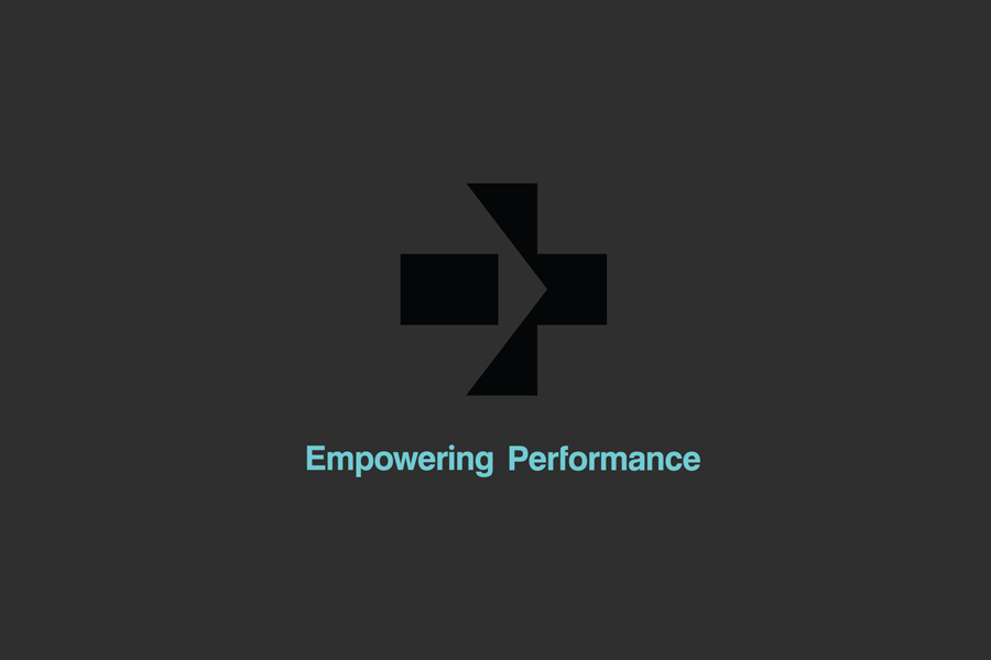 Logo designed by Analogue for management professional Steve Shine Logo designed by Analogue for management professional Steve Shine