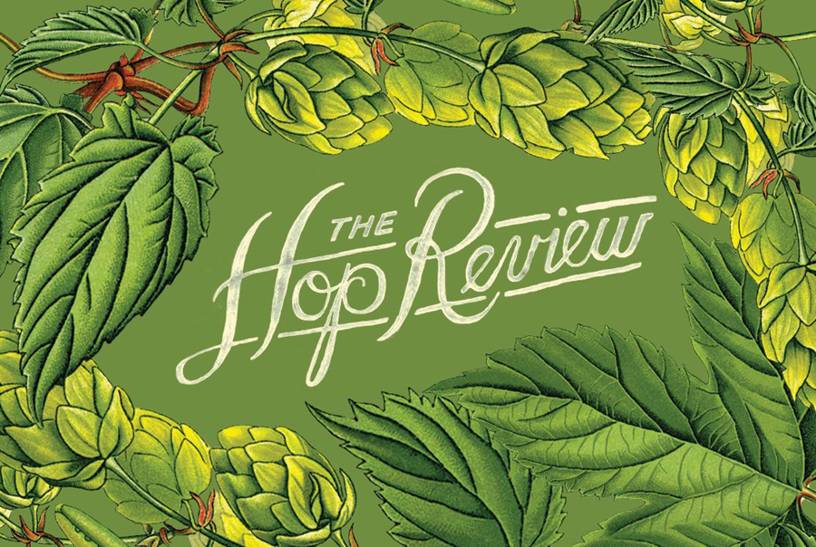 Script logotype and illustration created by Jack Muldowney for beer blog The Hop Review