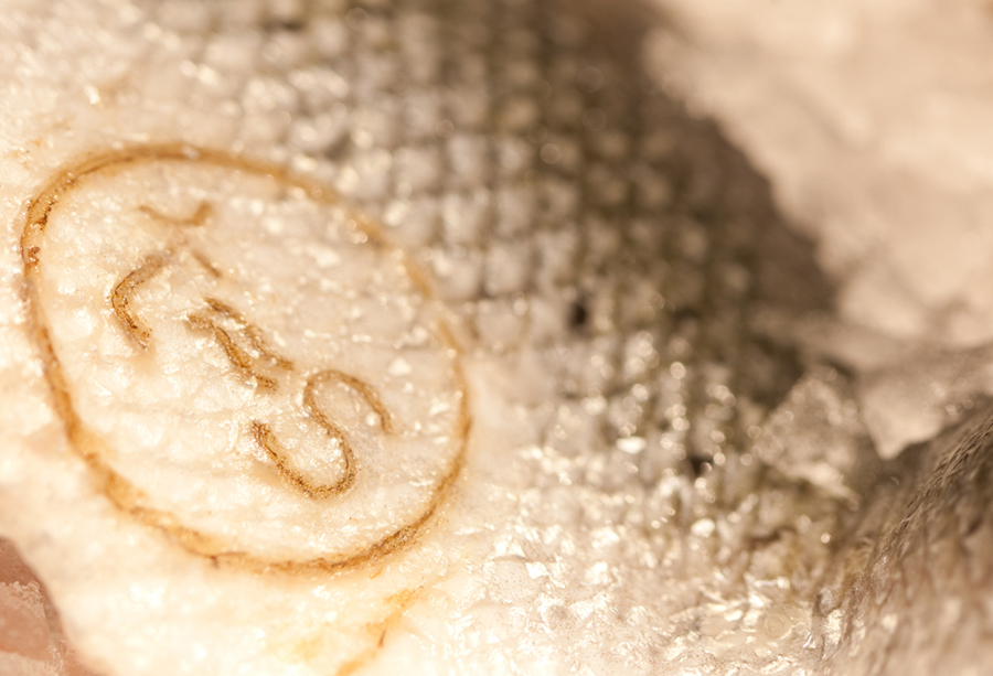 Logo as a heat treated detail created by Work In Progress for Norwegian seafood restaurant Tjuvholmen Sjømagasin