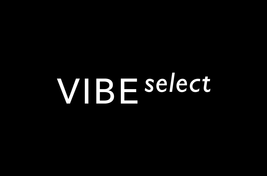 Sans-serif logotype for architectural firm Vibe Select designed by Studio Constantine