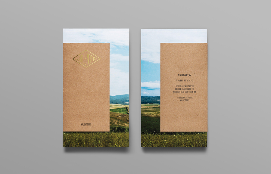 Logo and pamphlet with gold foil, photographic landscape and unbleached material detail designed by Anagrama for olive oil brand Valentto