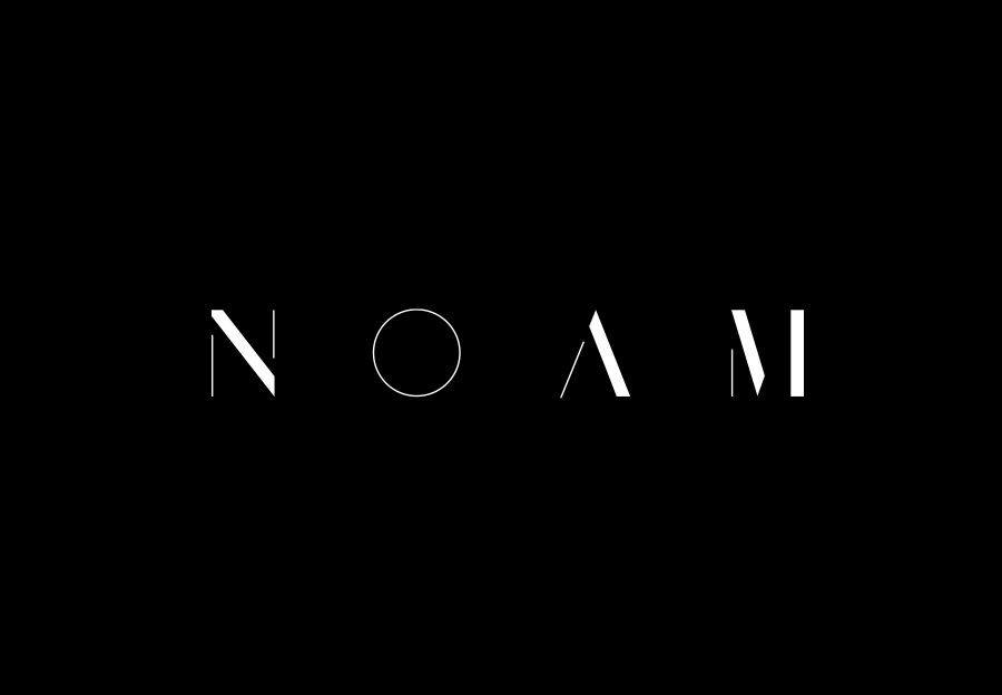 Logo created by Graphical House for interior design consultancy Noam