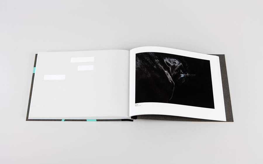 Book designed by LSDK for Frederik Laux Photography