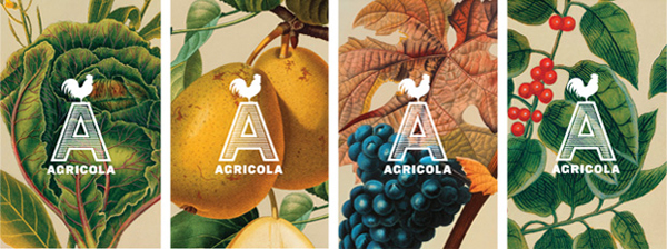 Agricola - Logo and branding designed by Mucca