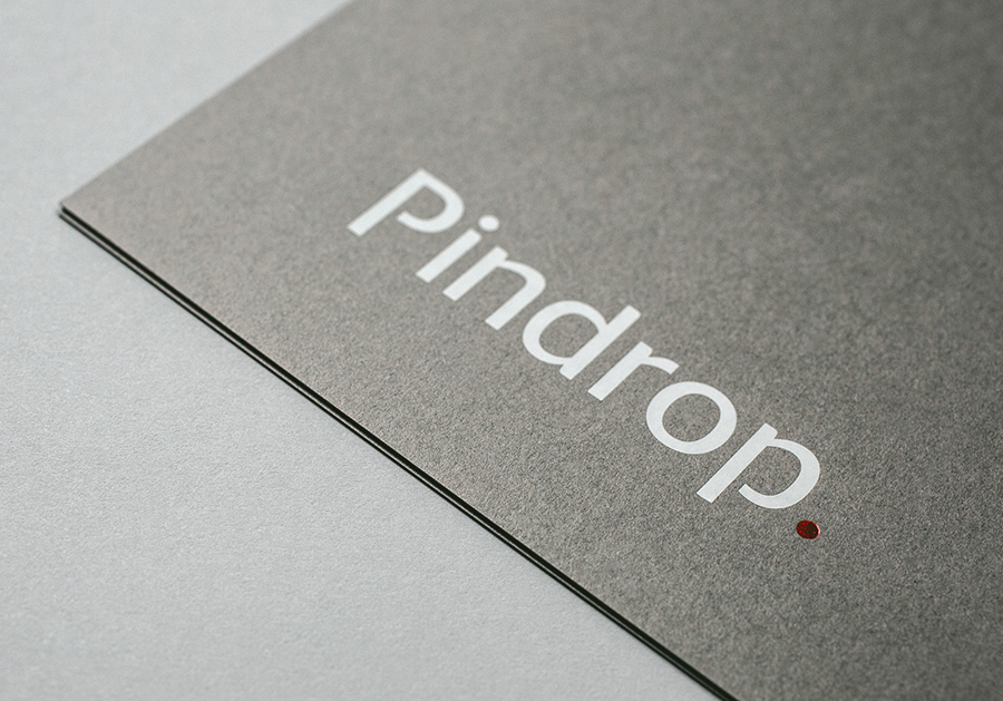 Logotype and business card designed by Nudge for bank and financial institution regulation resource Pindrop
