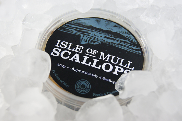 Packaging design with illustrative and typographic detail created by My Creative for Isle of Mull Scallops