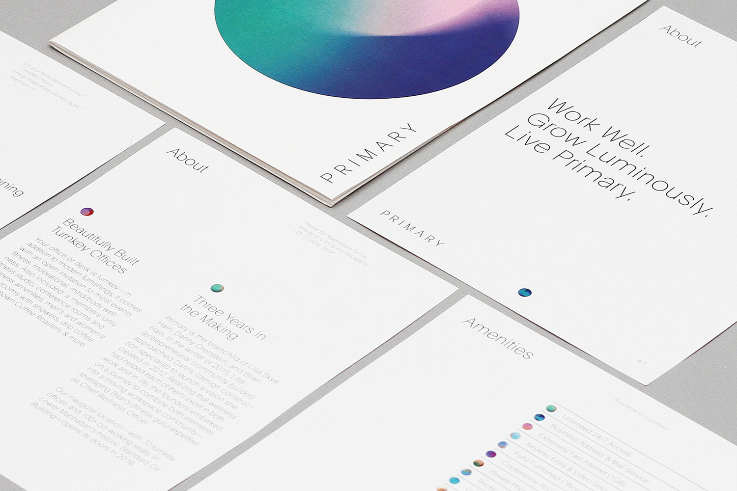 Brand identity for New York co-working and wellness concept Primary designed by DIA