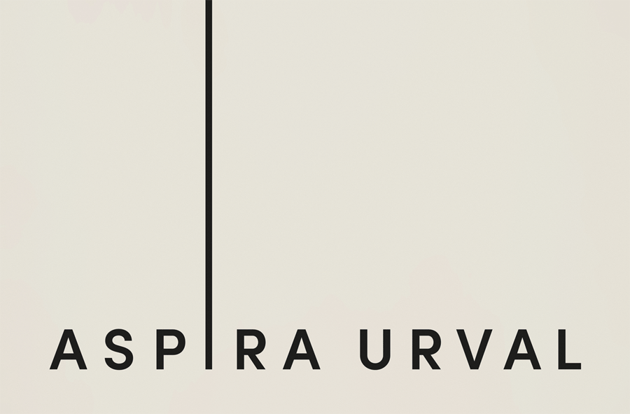 Logotype designed by BVD for banking, finance and insurance recruitment specialist Aspira Urval