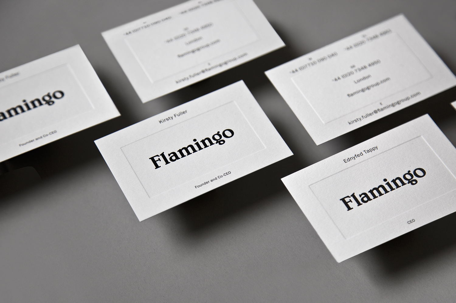 Brand Identity for Flamingo by Bibliotheque, United Kingdom