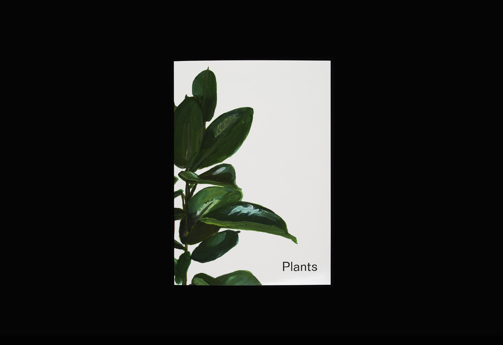 Plants, a brochure designed by Studio Hi Ho featuring illustration by Anna Skeels for residential development Nth Fitzroy