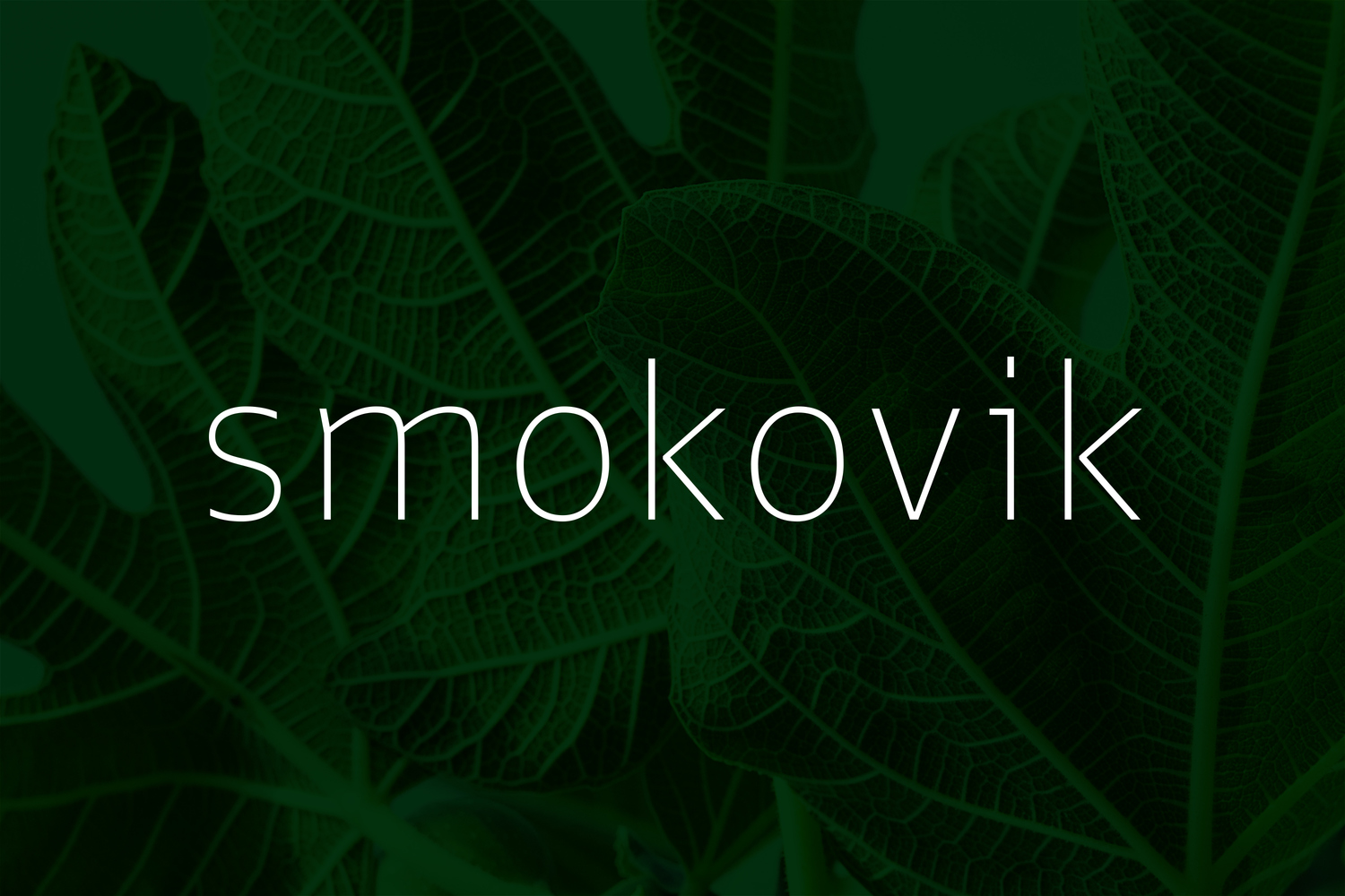 Sans-serif logotype by Studio8585 for Croatian property development Smokovik 