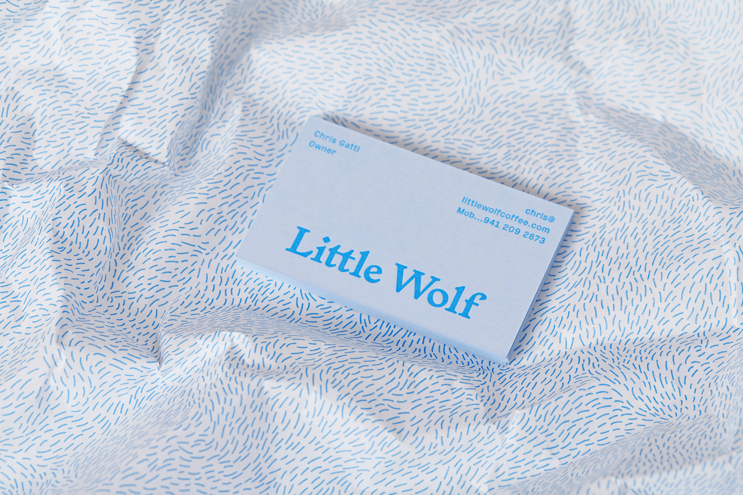 Logo, graphic identity and packaging by Perky Bros for American small-batch coffee roastery, subscription service and café Little Wolf
