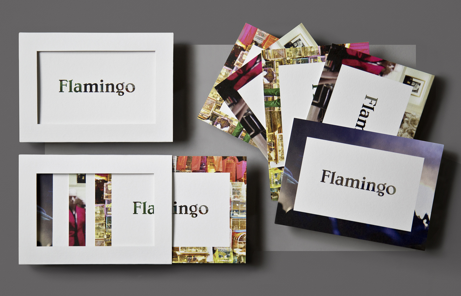 Brand Identity and post cards for Flamingo by Bibliotheque, United Kingdom