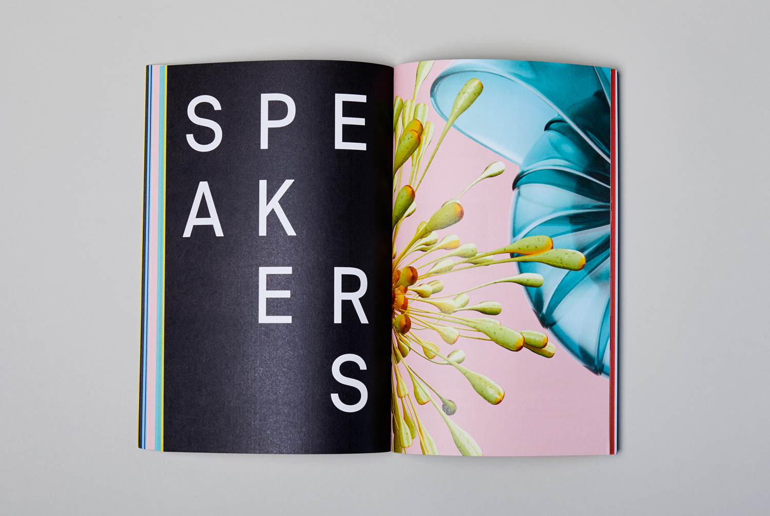 Posters, programme, and brand identity system by New York based Mother Design for the AIGA Design Conference