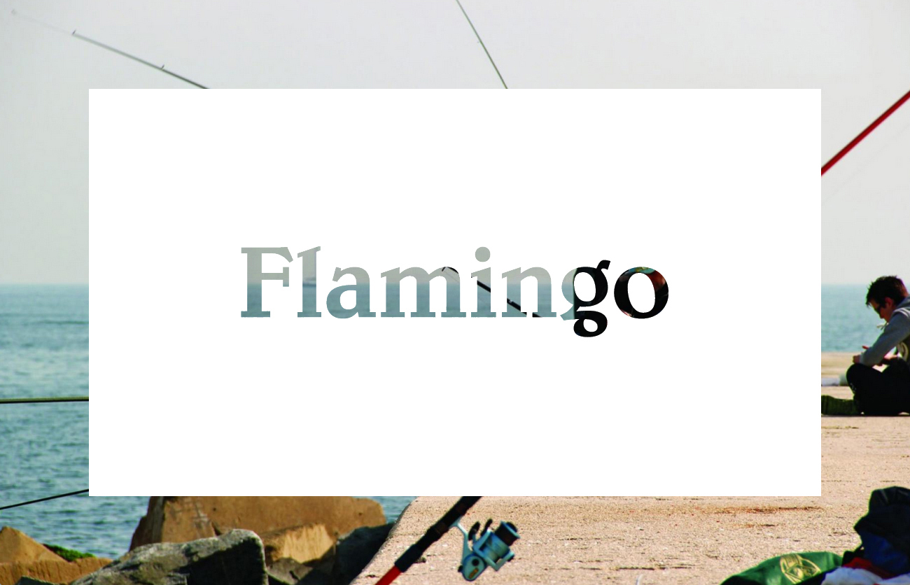 Brand Identity and website for Flamingo by Bibliotheque, United Kingdom