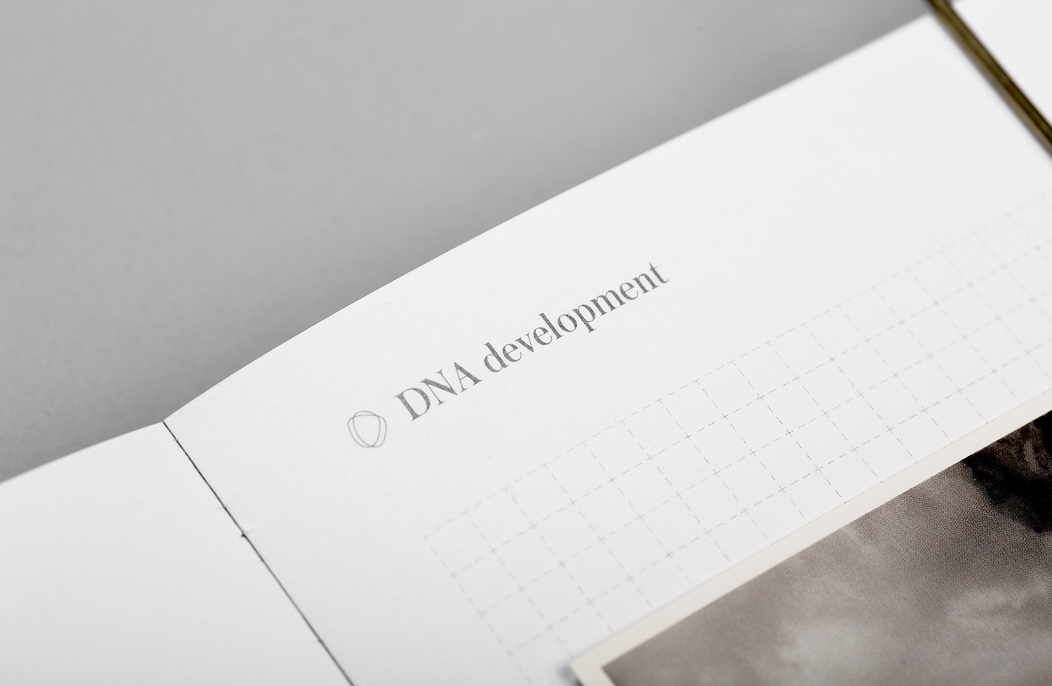 Brand identity and notebook for real estate investment and development business DNA development by Face