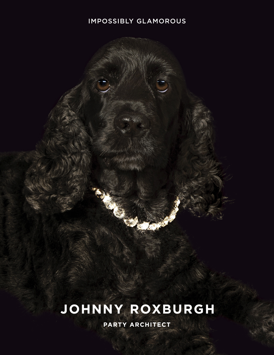 Branding and ad campaign for UK party planner Johnny Roxburgh by graphic design studio Bunch