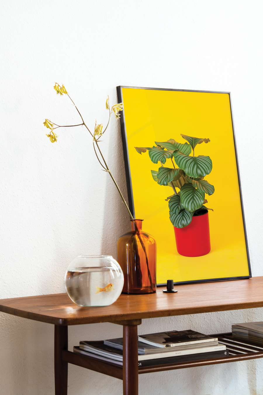 Framed plants from Barcelona based Flora