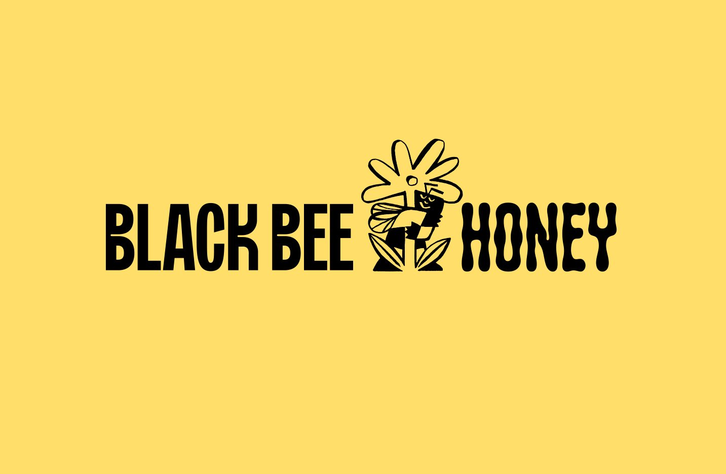 Logo, branding and packaging for British single origin Black Bee Honey designed by OMSE