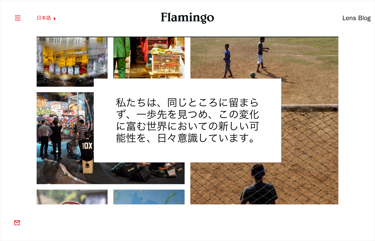 Brand Identity and website for Flamingo by Bibliotheque, United Kingdom