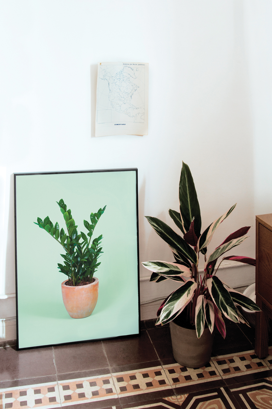 Framed plants from Barcelona based Flora