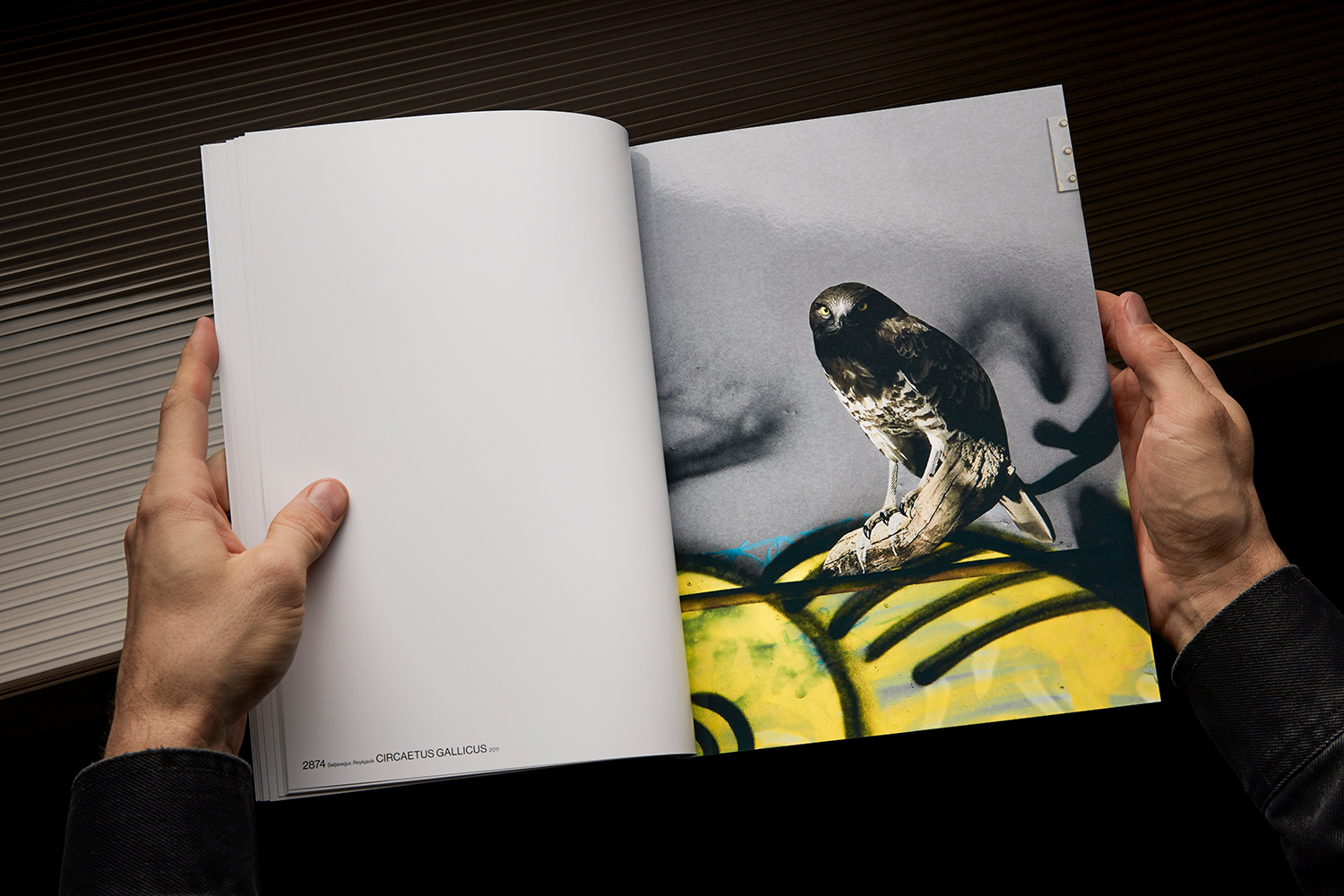 Artist book The Bird Project designed by Lundgren+Lindqvist and published by ll'Editions for Erik Berglin