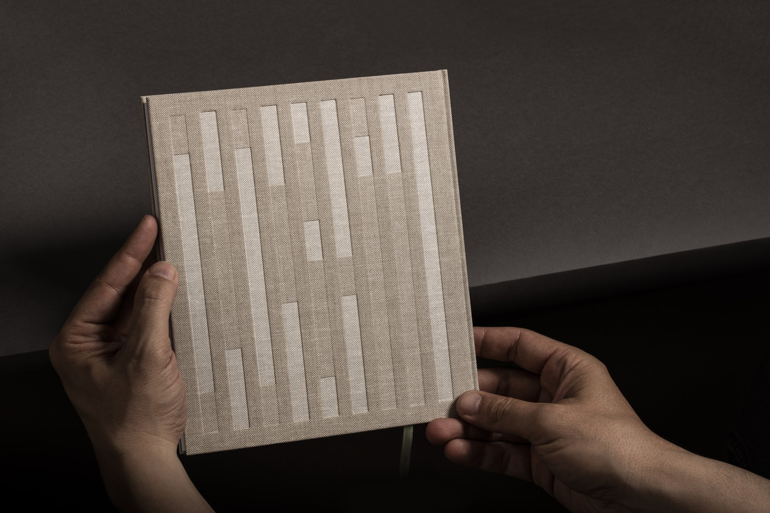 Semi-transparent foil embossed cover designed by Lundgren+Lindqvist for Kalle Sanner's photographic project Lukas/Markus