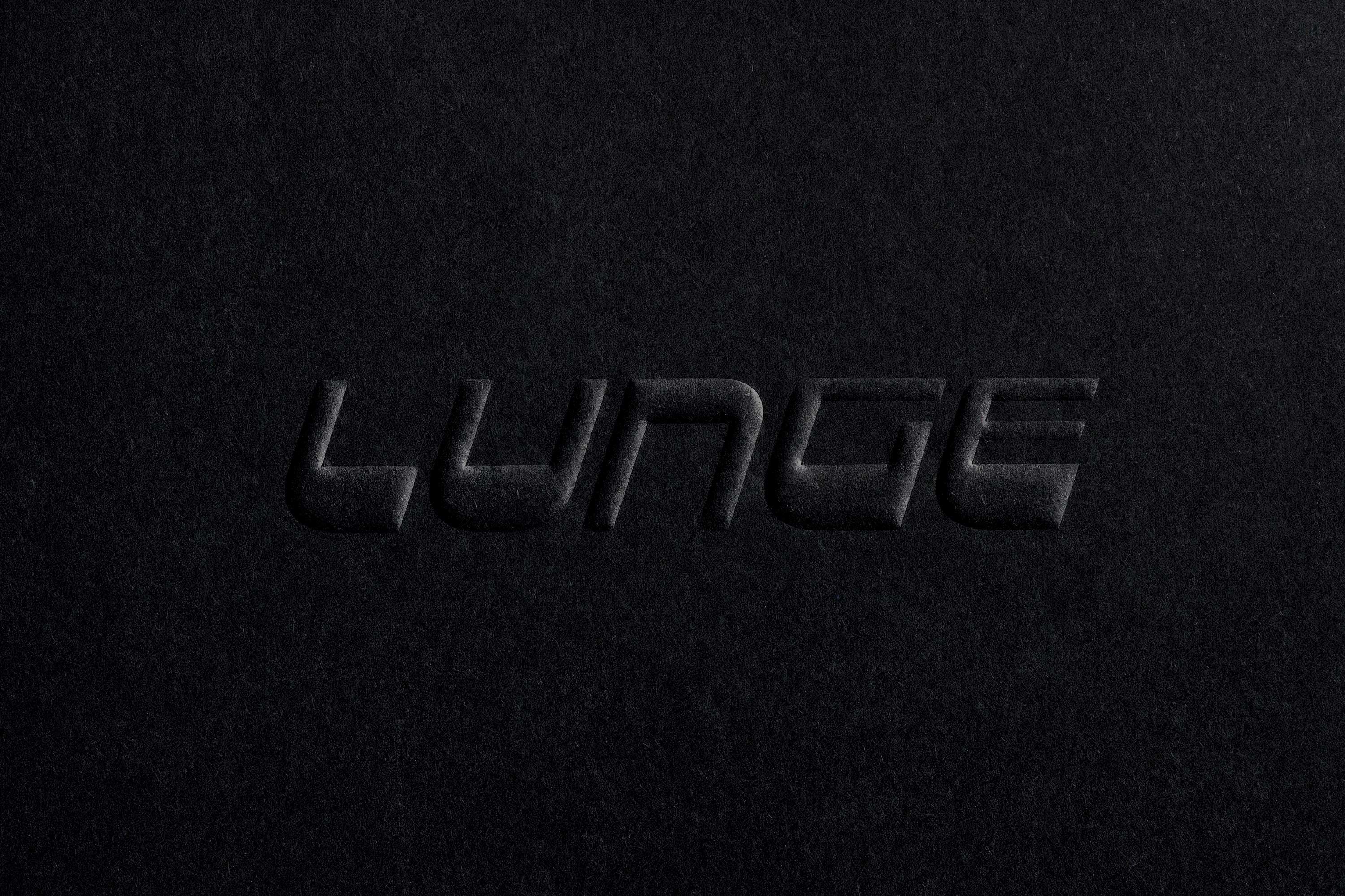 Logotype, art direction and website for high end pet product brand Lunge designed by New York-based Lunge. 