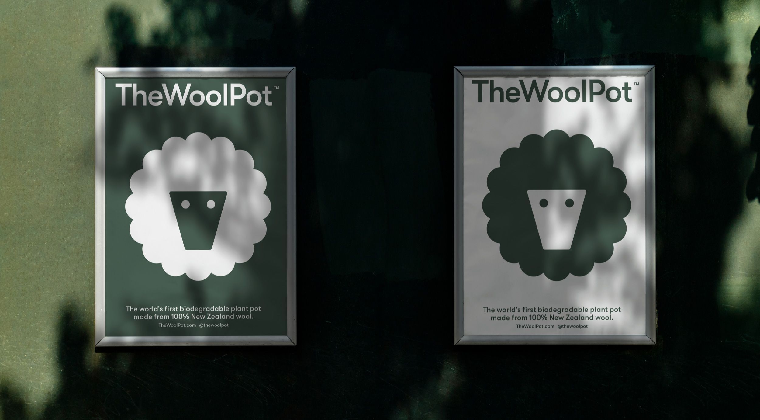 Logo, print, packaging and website design by New Zealand-based Seachange for compostable wool plant pot brand The Wool Pot