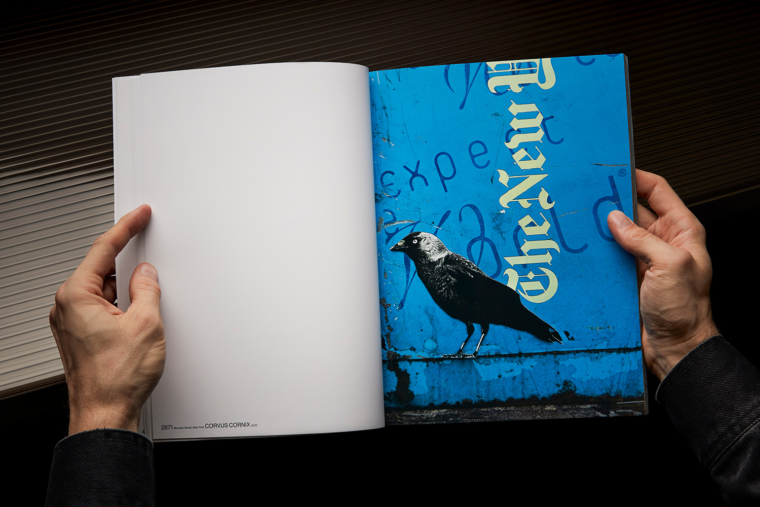 Artist book The Bird Project designed by Lundgren+Lindqvist and published by ll'Editions for Erik Berglin