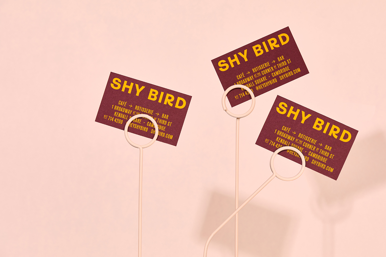 Logo, branding, packaging and signage by Perky Bros for Shy Bird, a café, rotisserie and bar in Cambridge, MA