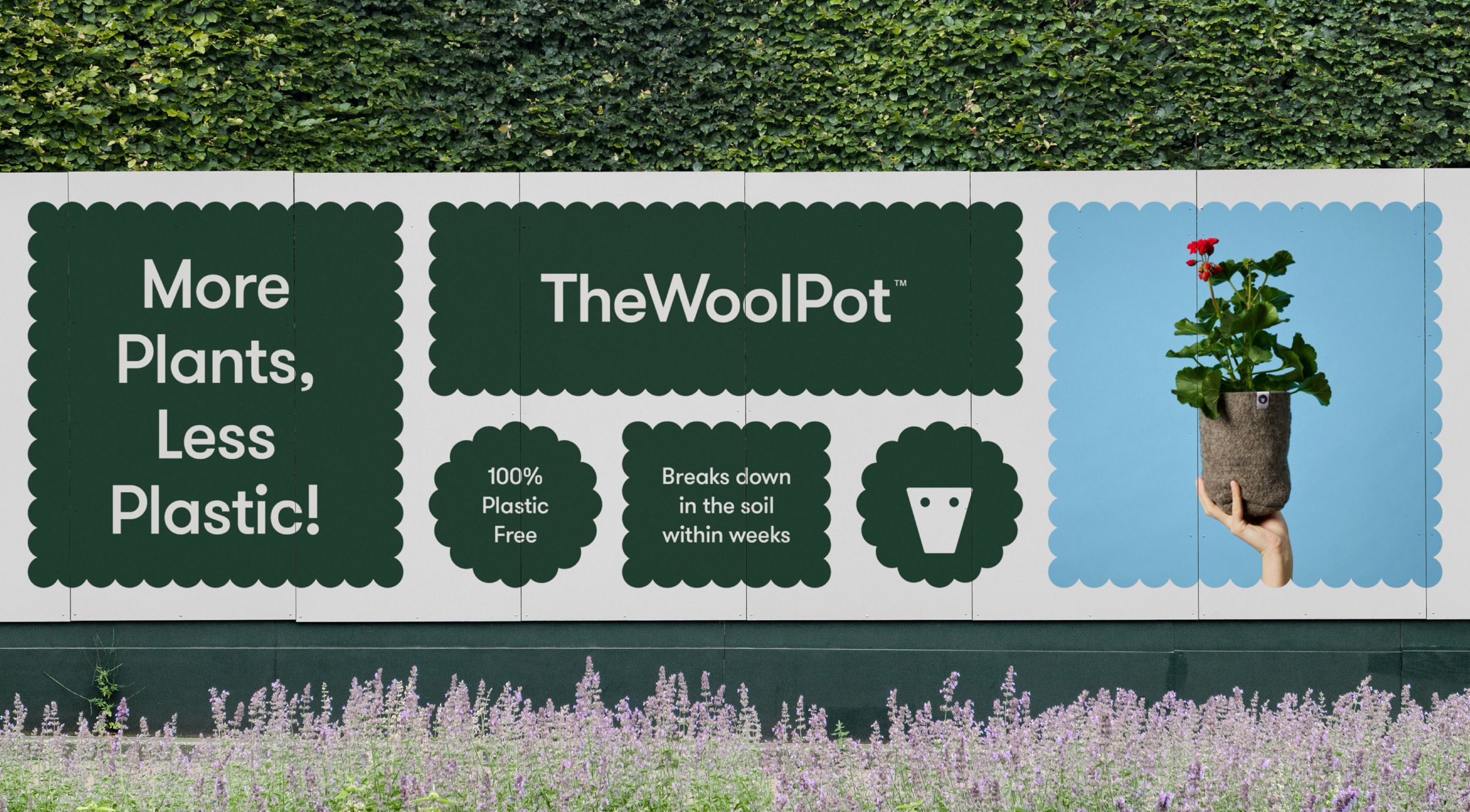 Logo, print, packaging and website design by New Zealand-based Seachange for compostable wool plant pot brand The Wool Pot