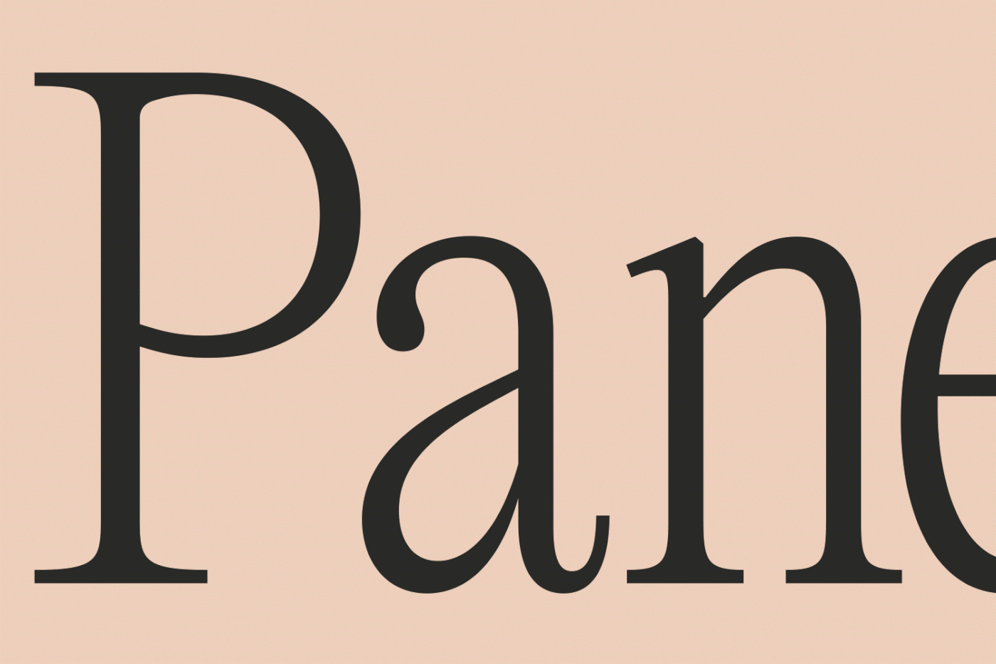 Logotype design by Requena Office for Spanish panettone brand Panettoni Pavolucci