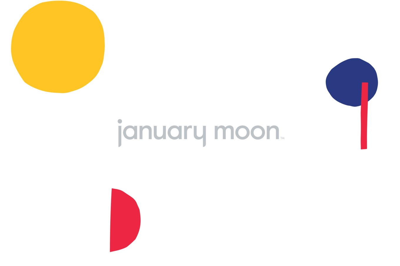 Logotype for teething jewellery brand January Moon by Perky Bros