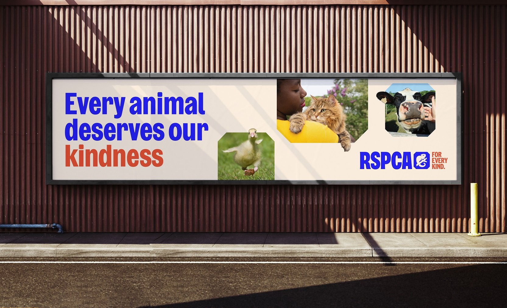 Logotype, icons, custom typeface and shop fronts designed by JKR for UK animal charity RSPCA. Logotype, icons, custom typeface and shop fronts designed by JKR for UK animal charity RSPCA.