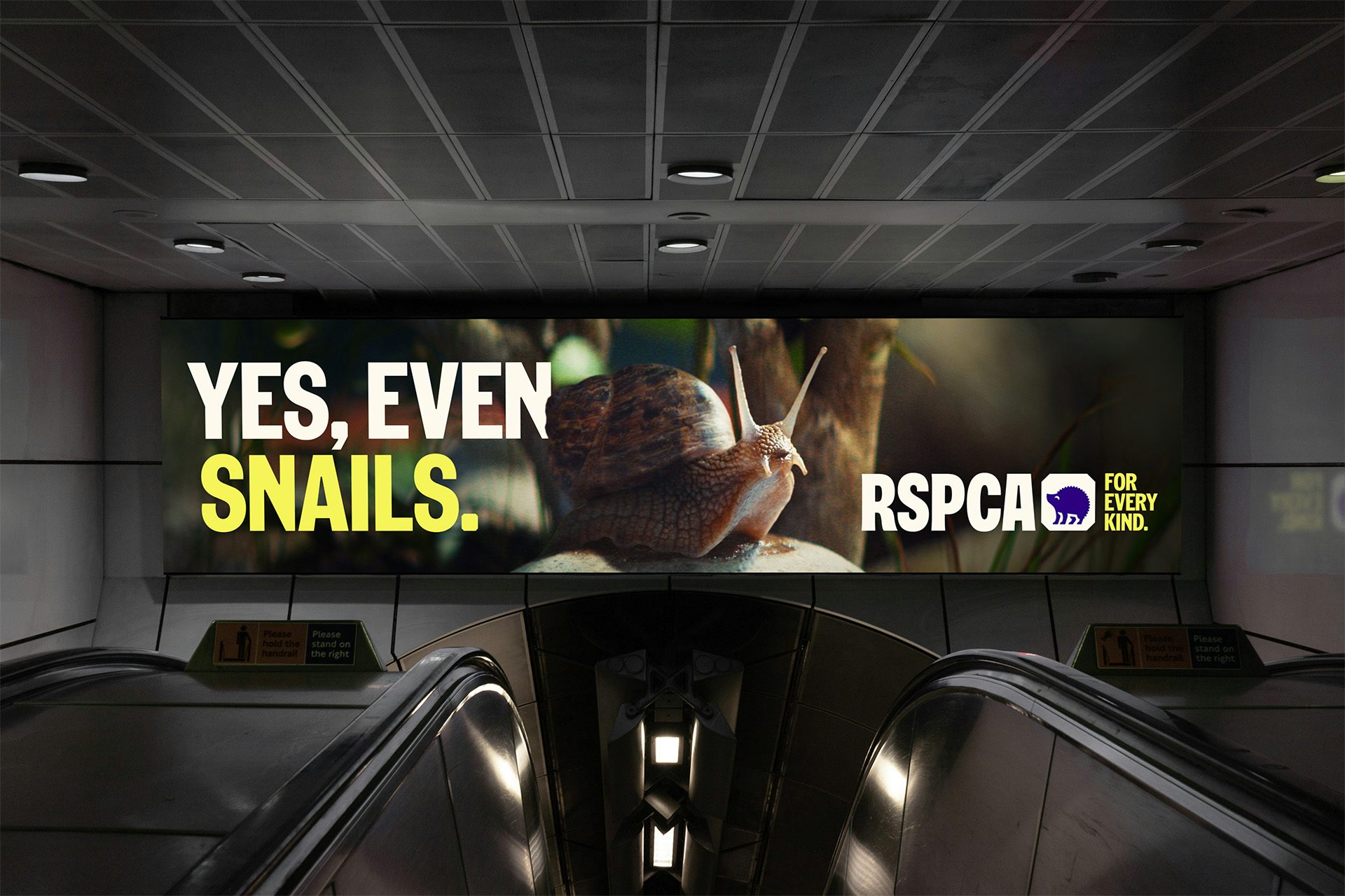Logotype, icons, custom typeface and shop fronts designed by JKR for UK animal charity RSPCA. Logotype, icons, custom typeface and shop fronts designed by JKR for UK animal charity RSPCA.