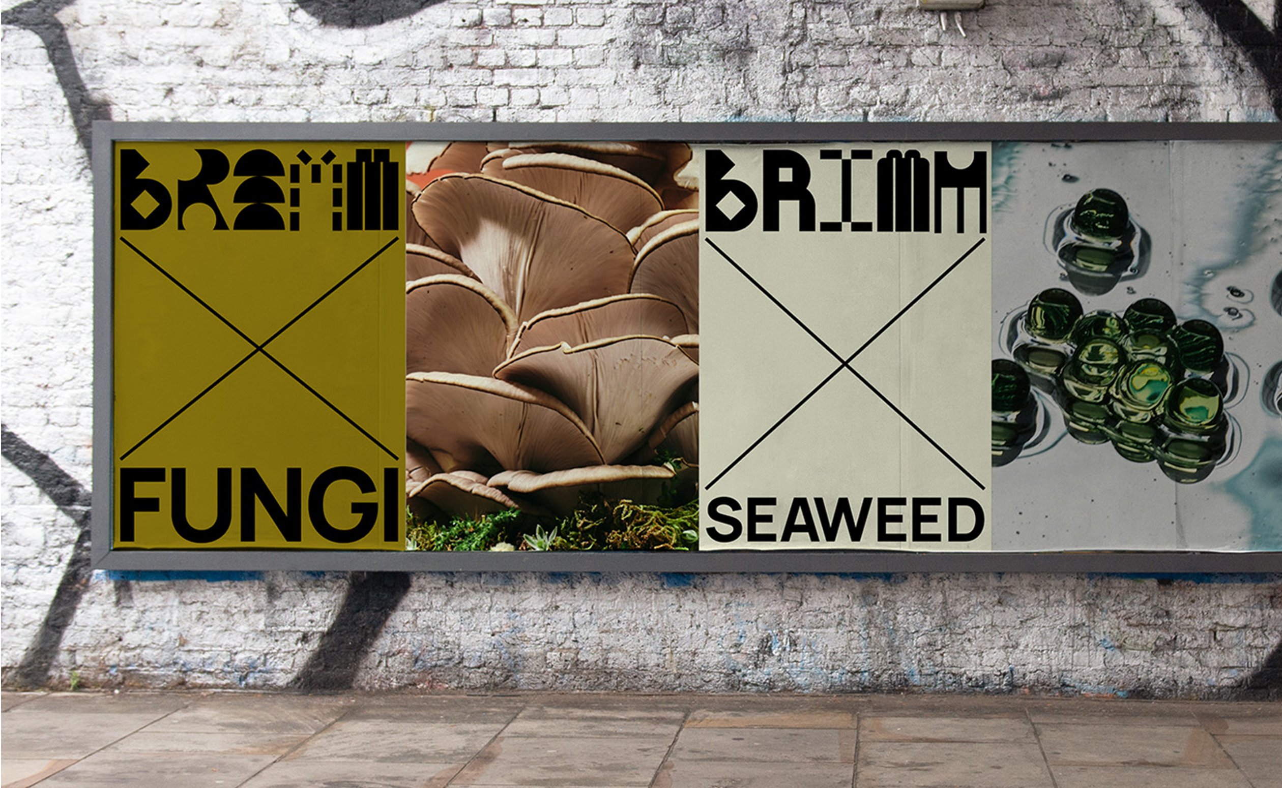 Dynamic and modular logotype, social assets and website for planet-friendly retailer BRiMM designed by Harriman Steel. Dynamic and modular logotype, social assets and website for planet-friendly retailer BRiMM designed by Harriman Steel.