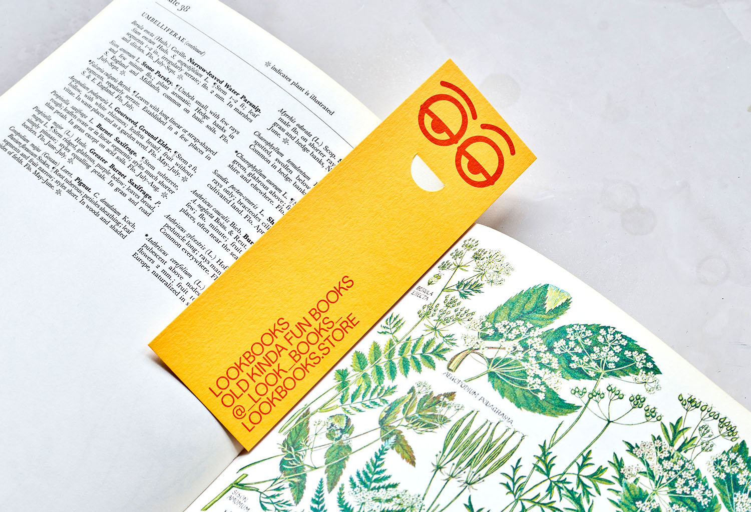 Visual identity design and bookmarks by London-based Studio Lowrie for online speciliast bookstore Look Books