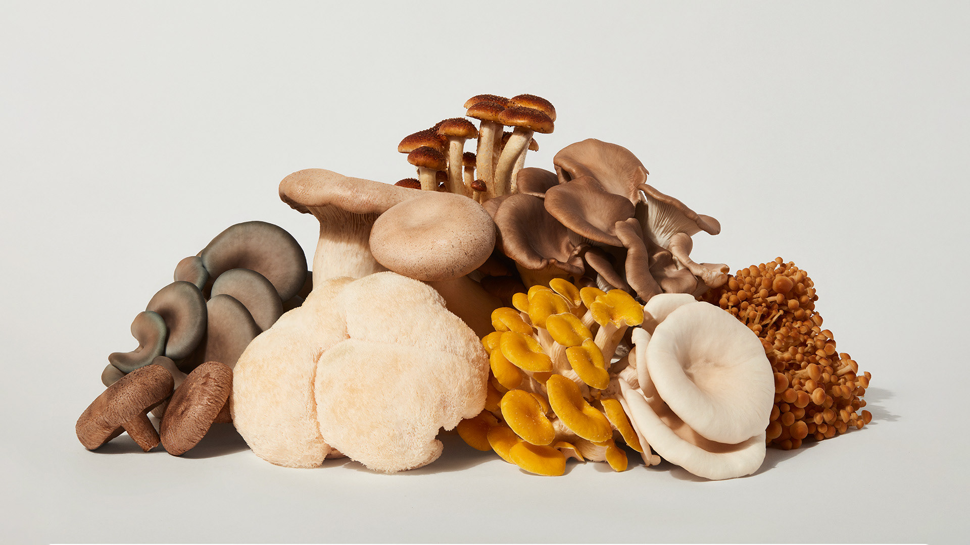 Logotype, logo, art direction, packaging and merchandise for mushroom business Full Pin by Rethink Logotype, logo, art direction, packaging and merchandise for mushroom business Full Pin by Rethink