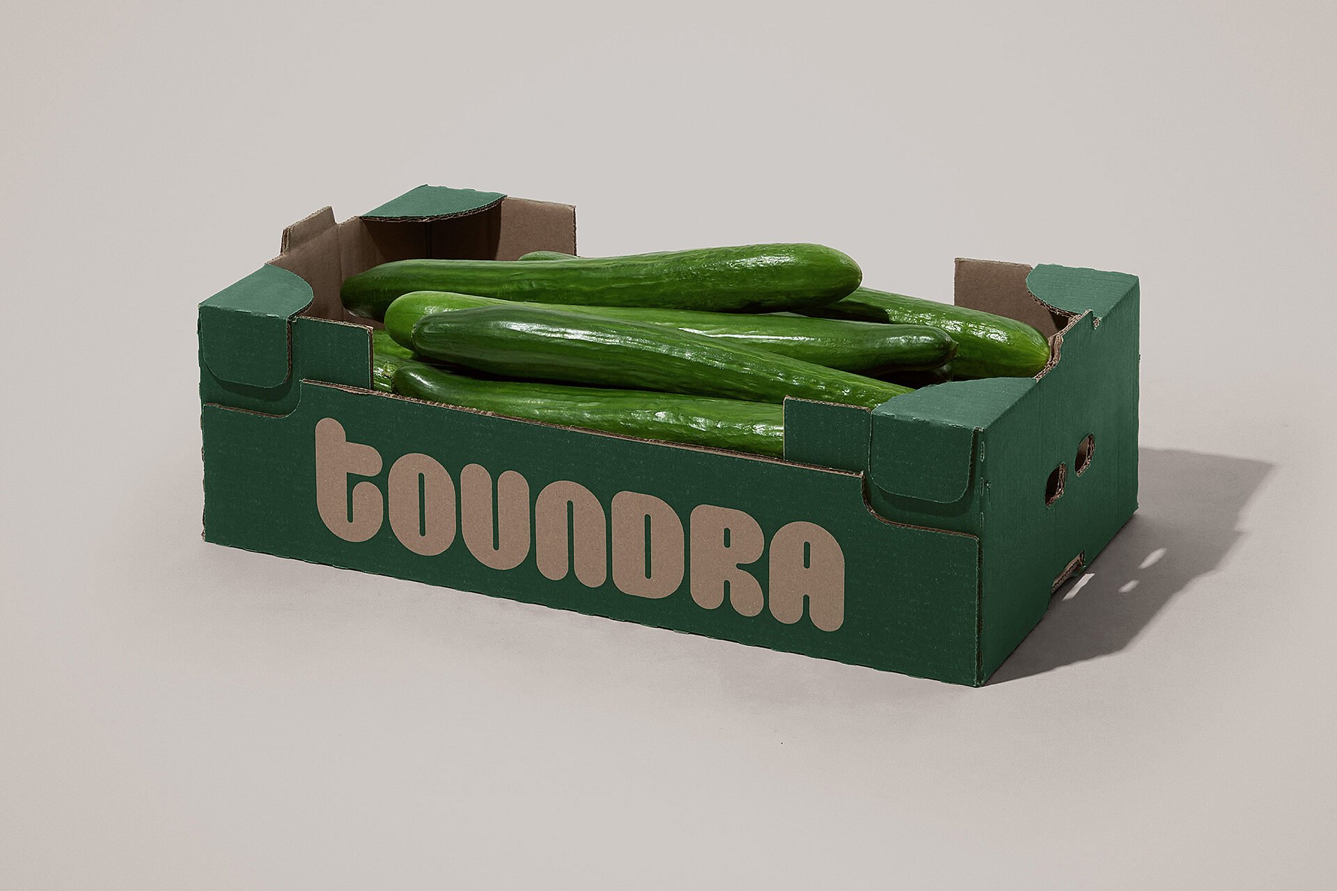 New logotype, illustration and website for Canadian cucumber brand Toundra designed by LG2