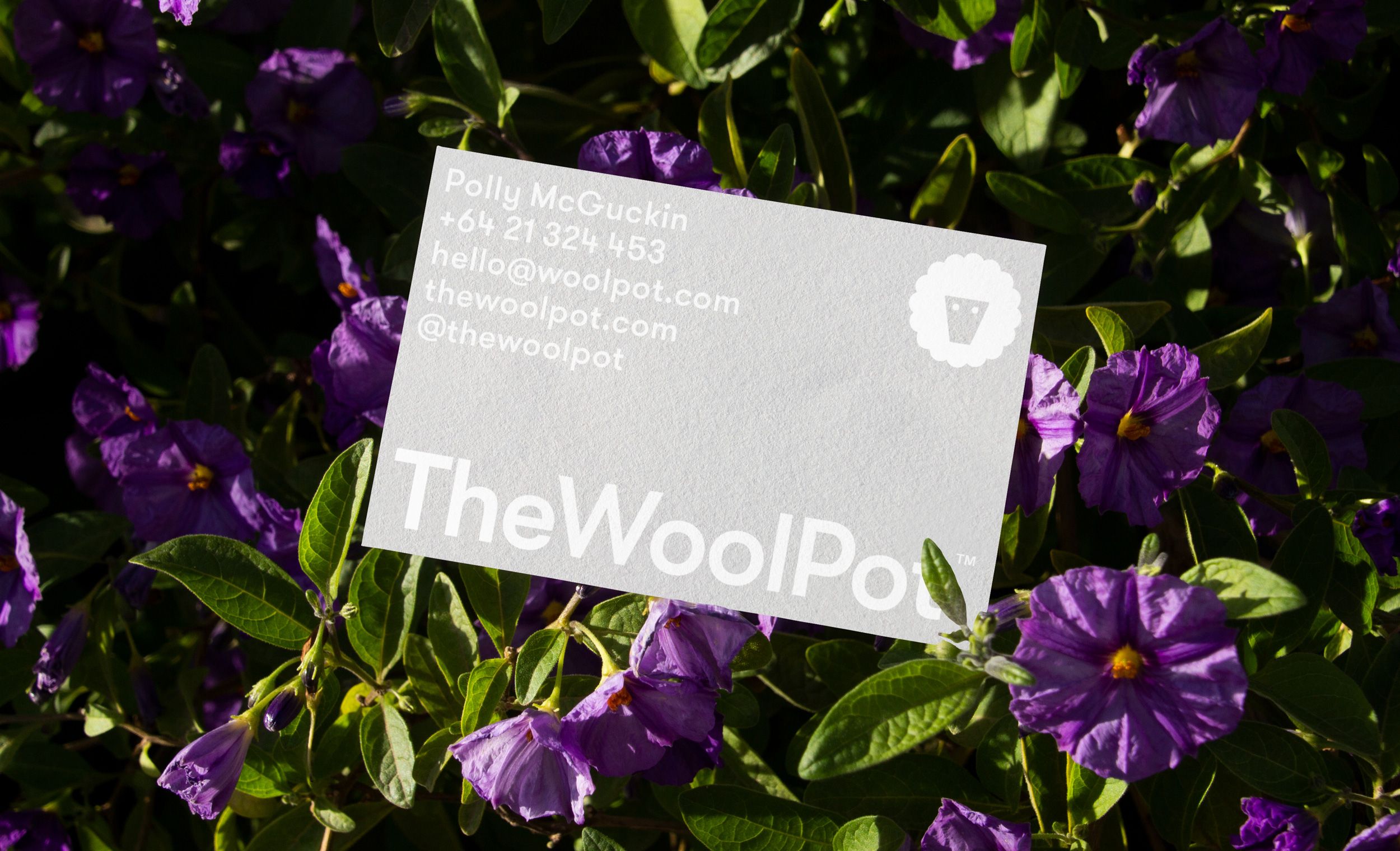 Logo, print, packaging and website design by New Zealand-based Seachange for compostable wool plant pot brand The Wool Pot