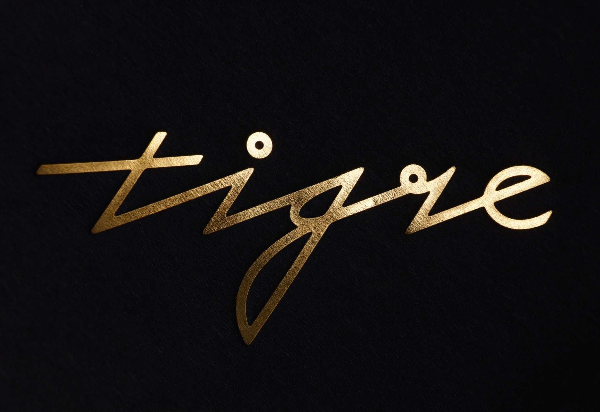 Logo & Branding for Tigre by Triboro — BP&O