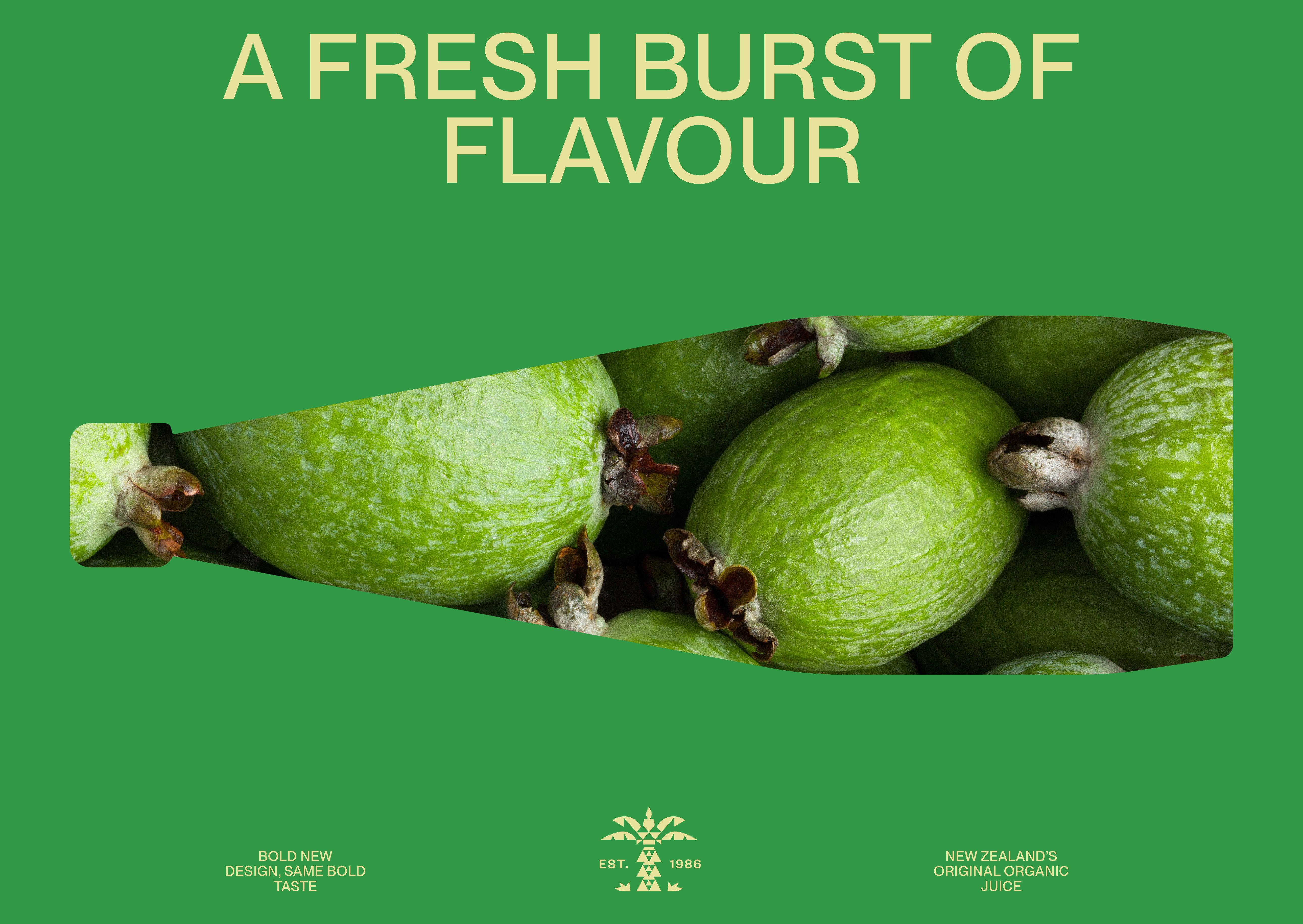 Branding, packaging and tone of voice for New Zealand beverage brand for Phoenix Organics by Marx Design