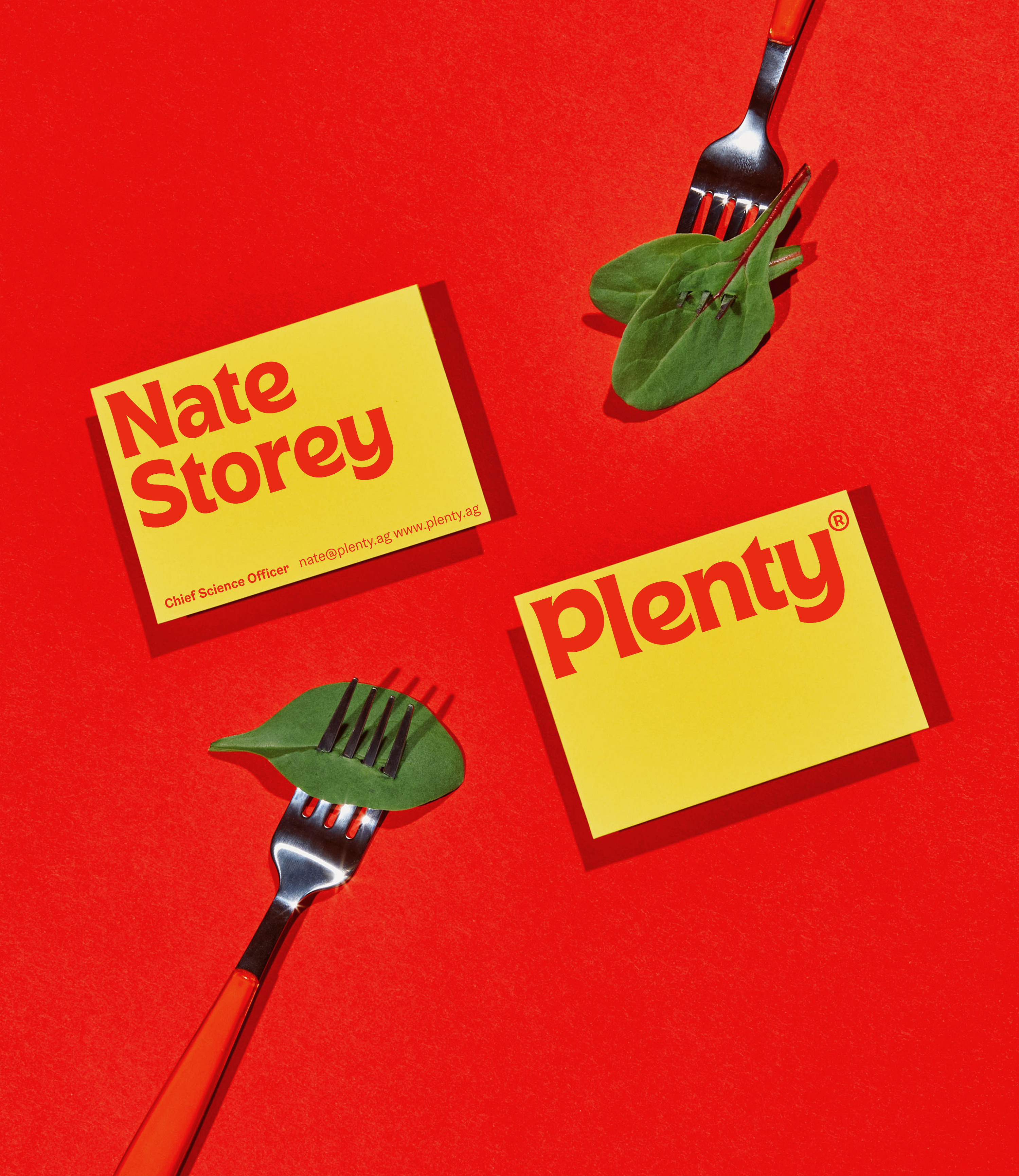 Logotype and business cards designed by &Walsh for US salad brand Plenty