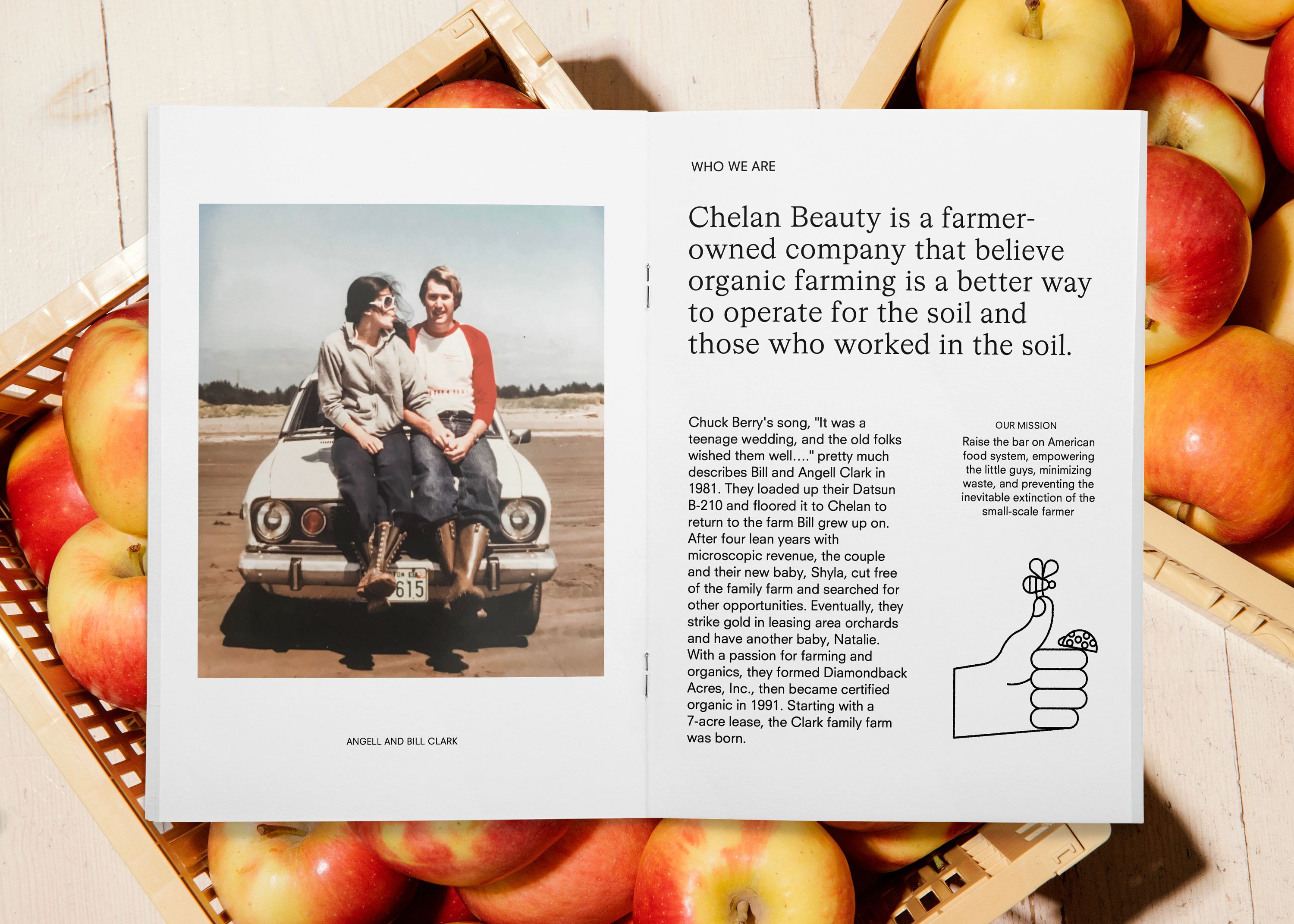 New brand identity and packaging design by Olssøn Barbieri for freeze dried organic fruit company Chelan Beauty. Reviewed by Emily Gosling.